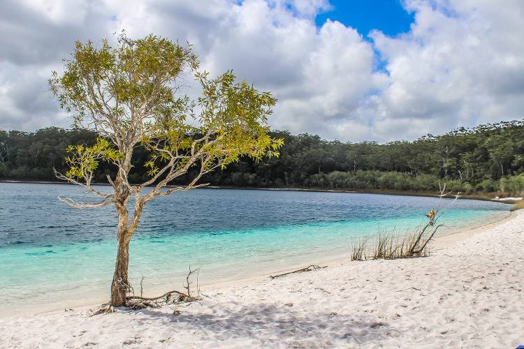 Озеро Маккензи на острове Фрейзер Австралия