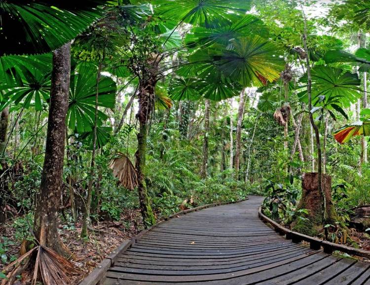 Природный парк в окрестностях Порт-Дугласа