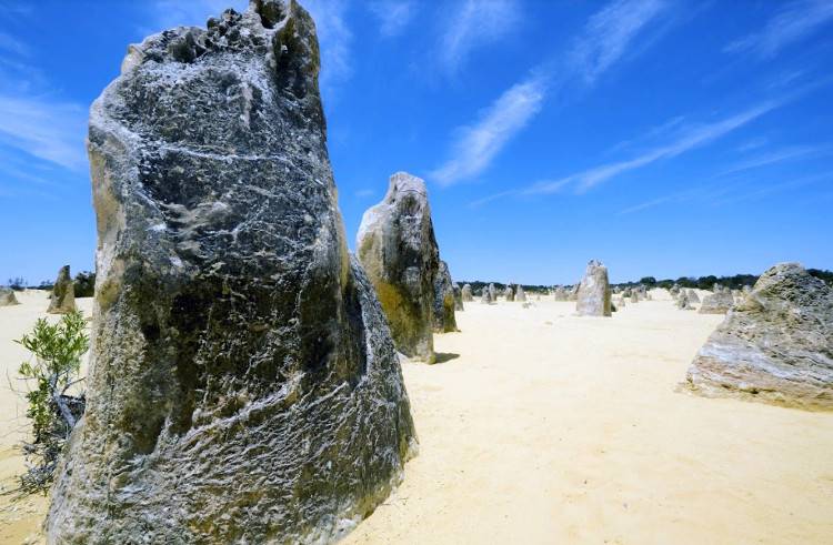 Каменные столбы в пустыне Пиннаклс Перт Австралия